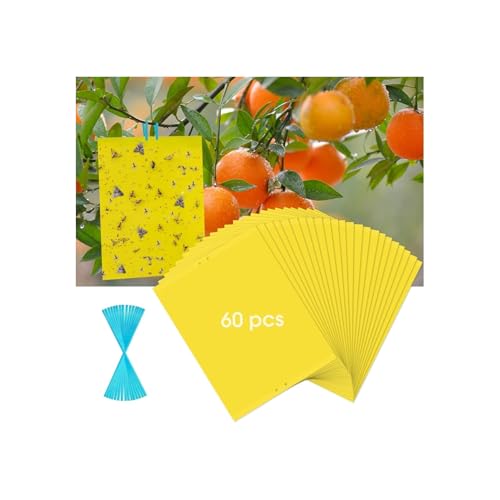 60 Pack Yellow Sticky Traps for Gnats, Fruit Fly Traps for Indoors Plants - size: 60Packs
