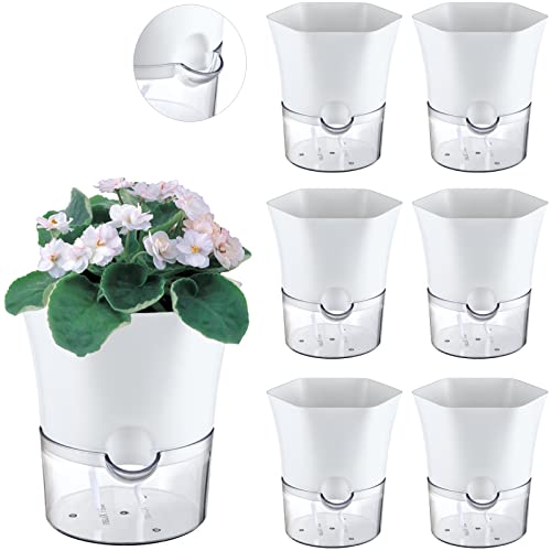 6-Pack 6" Clear Self Watering Pots for Indoor Plants Large Hexagon Self-Watering Planters Orchid Pots Plastic Wick Flower Plant Pots for African Violet, Spider, Herbs, Home Decor, White and Clear - size: 6"
