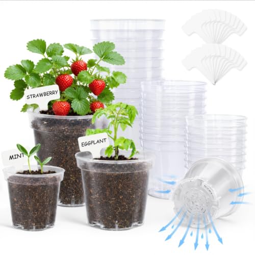 30 Pack Clear Plastic Nursery Pots, 5/4/3 Inch Seed Starting Pots - color: 3/4/5 Inch-30pcs, size: Small