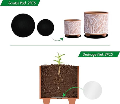 D'vine Dev 2-Pack Terracotta Pots, 4/6 in, Sahara Fern, 31-953-H-1 - style: Sahara Fern