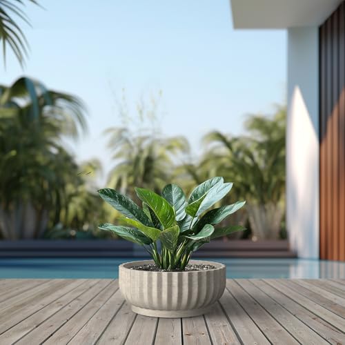 Kante Weathered Concrete Planter 20.9" Dia All-Weather Round Large Pot - color: Weathered Concrete, size: 20.9"Dia x 8.3"H