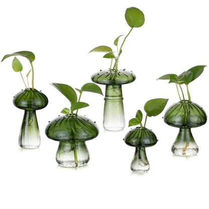 Glasseam Mushroom Glass Propagation Station, 5Pcs Green Plant Terrarium Jar - color: Green, size: 5