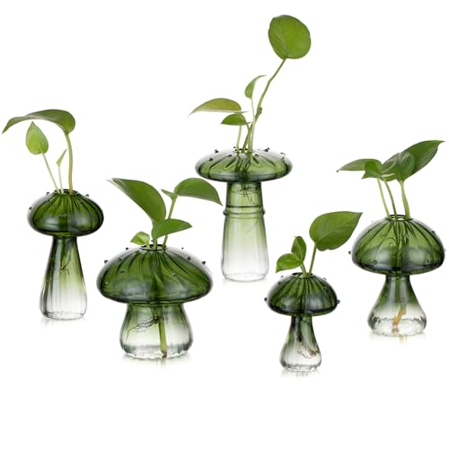 Glasseam Mushroom Glass Propagation Station, 5Pcs Green Plant Terrarium Jar - color: Green, size: 5