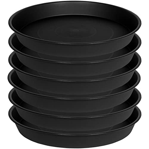 6 Pack 6 inch Plant Saucer Tray, 4 6 8 10 12 15 17 19 inch Plant Saucers, Heavy Duty Plastic Plant Saucers for Indoors, Bird Bath Bowls, Flower Plant Water Trays for pots Planter (6", Black) - color: Black, size: 6"