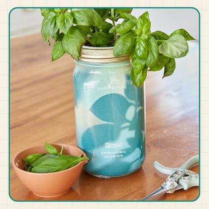 Modern Sprout Hydroponic Grow + Harvest Bundle - color: Basil Garden Jar + Sage Shears