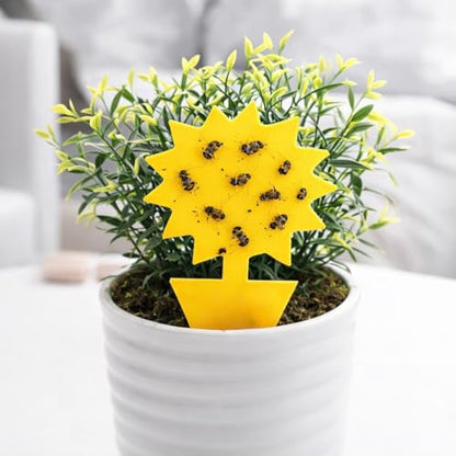 40-Pack Yellow Sticky Fruit Fly Traps for Indoor and Outdoor Plants – Sun-Shaped Fungus Gnat Killer – Non-Toxic, Waterproof, Dual-Sided Adhesive Soil Insert Traps for Potted Plants and Gardens