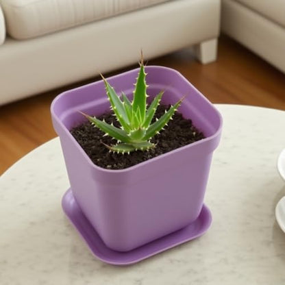 HOIGON 100 Pack 3 Inch Purple Square Nursery Pot, Durable Thickened Plastic Nursery Pots with Drain Holes, Small Square Planting Containers for Flower Tomatoes Basil - color: Purple