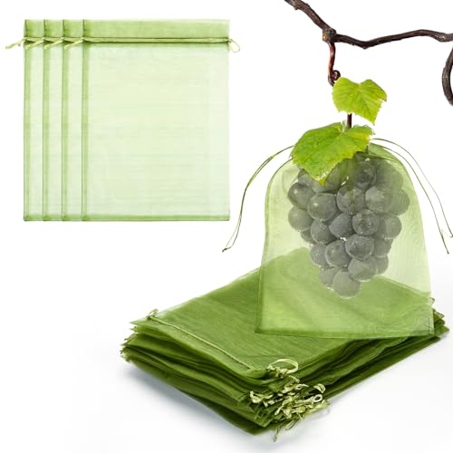 50 PCS 8X12 inches Fruit Protection Bags, Fruit Bags for Fruit Trees - size: 8X12