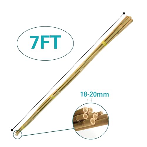 50pcs Bamboo Stakes 7FT, 84 inch Garden Stakes Multi-Purpose, Bamboo Plant Support Stakes for Tomato, Beans, Cucumbers, Peppers, Potted Trees, Maintain the Plant Posture, Strengthen and Stem - size: 7FT, Pack of 50