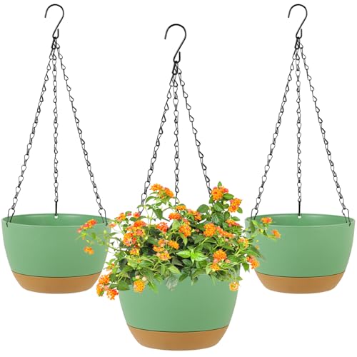 LIYDE 3 Pack Hanging Planters, 8 Inch Small Hanging Pots Self Watering Hanging Planters for Indoor Plants with Drainage Holes and Removable Tray Hanging Basket (Green) - color: Green