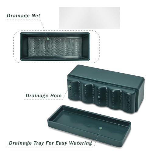 D'vine Dev Rectangular Planter, 12 x 4.5 in, Green, Set of 1, 76-X-C-1 - color: Green