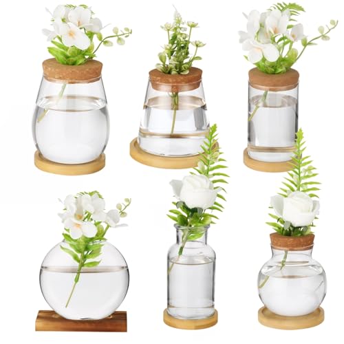 6PCS Plant Propagation Station, Desktop Plant Propagation Jars with Wood Lid and Stand, Glass Propagation Vases for Plant Growing, Hydroponic Home, Office Decor (6 Styles)