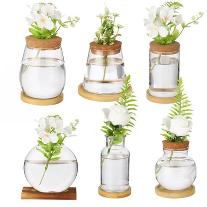 6PCS Plant Propagation Station, Desktop Plant Propagation Jars with Wood Lid and Stand, Glass Propagation Vases for Plant Growing, Hydroponic Home, Office Decor (6 Styles)