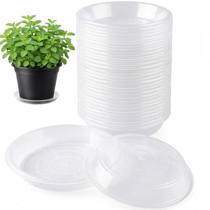 30 Pack Clear Plant Saucer 6 Inches Plastic Drip Trays to Catch Water - size: 6 Inch