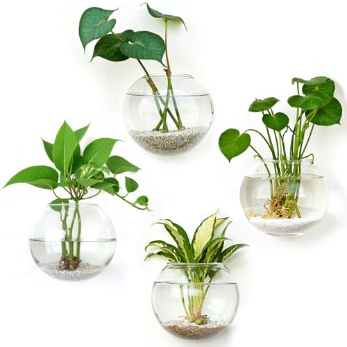 DomeStar Set of 4 Wall Vases, Wall Mounted Propagation Station - size: 4pcs