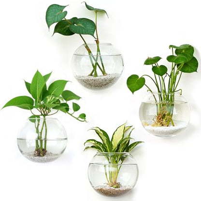 DomeStar Set of 4 Wall Vases, Wall Mounted Propagation Station - size: 4pcs