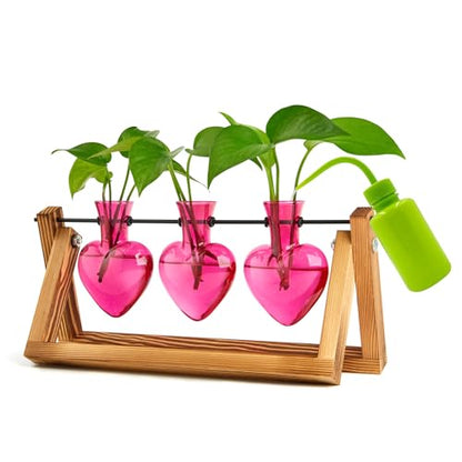 XXXFLOWER Plant Terrarium Propagation Stations 3 Heart Shaped Vases - size: 3 Heart Vase
