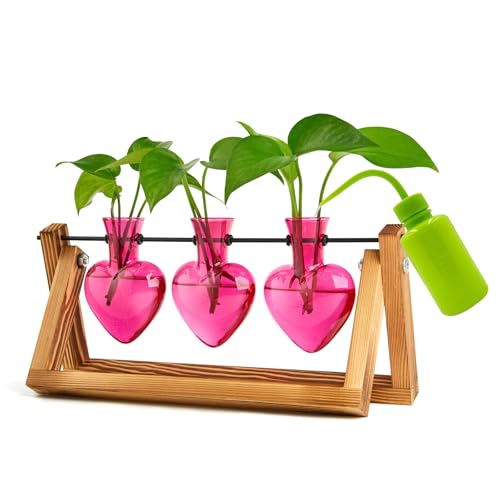 XXXFLOWER Plant Terrarium Propagation Stations 3 Heart Shaped Vases - size: 3 Heart Vase