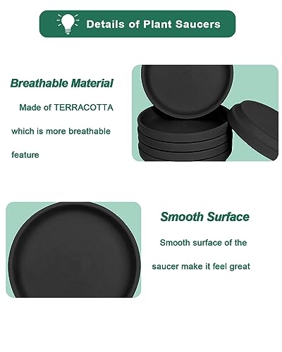 vensovo 6 Inch Black Terracotta Plant Saucers, 6 Pack Small Clay Trays - color: Black, size: 6 inch