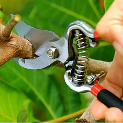 Garden Guru Classic Bypass Pruning Shears Clippers – Heavy Duty Forged Steel Pruners – Non Slip Comfort Grips – Cuts up to 1” Diameter – Professional Bypass Pruners Black - 1 Case (60 Pcs) - size: 60 Pack, style: Bypass Pruner (Black)