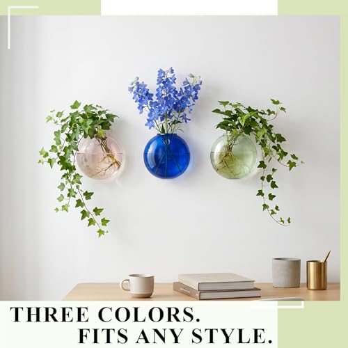 LemonRoad 3 Pcs Propagation Wall Hanging Glass Flower Vase Pink Green Blue Oblate Wall Vases for Flowers Hydroponics Plant Propagation Station Terrariums Glass Planter Gifts for Plant Lovers