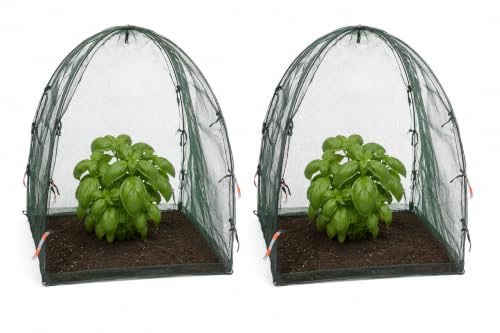 NuVue Products 25200 Pop-Up Garden Netting Animal and Bug Guard Covers with Ground Spikes, Mesh Plant Cover Tents for Pest and Animal Control, Pack of 2, Green, 22" x 22" x 22" - color: Green, size: 22" x 22" x 22"