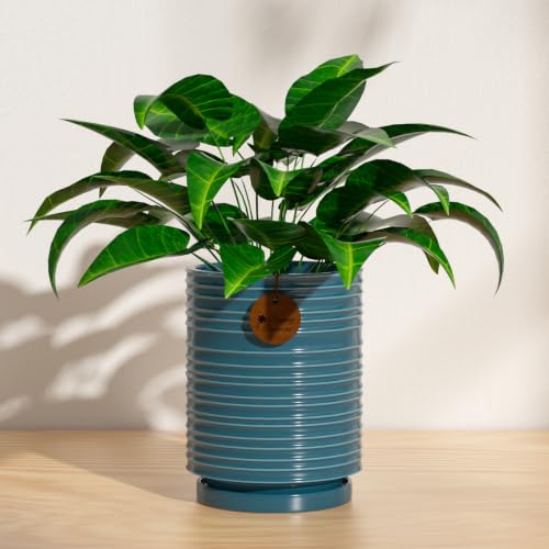 5.9 Inch Green Ceramic Planter with Drainage and Saucer - color: Peacock Green, size: Medium