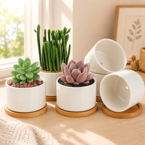 ZOUTOG 6 Pack 3.6" Ceramic Succulent Pots,White Planter with Drainage Tray | Round Flower Plant Pot Ideal for Windowsill, Bedroom and Living Room, Great for Succulents, Cacti & Small Indoor Green Plants