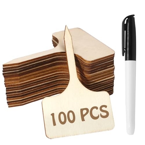 100 Pcs Bamboo Plant Labels, T-Type with Marker Pen, 6x10cm