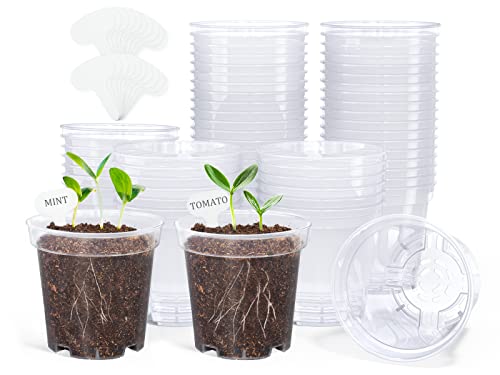 homenote 3 Inch Clear Nursery Pots with Drainage Holes, 20 Labels (60 Pcs) - color: Clear, size: 3 Inch-60 Pack