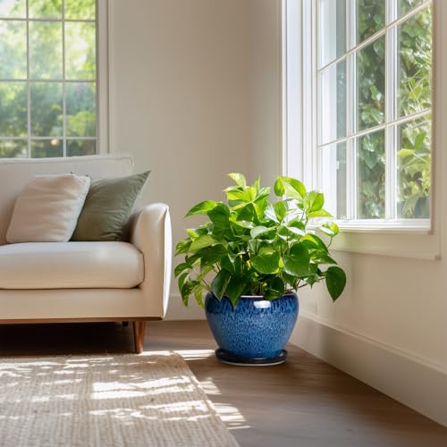 10 Inch Plant Pot, Ceramic Planter with Drainage and Saucer, Blue - color: Blue, size: 10 Inch