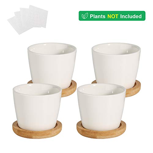 T4U 2.5 Inch Small White Succulent Planter Pots with Bamboo Tray Round Set of 4, Ceramic Succulent Air Plant Flower Pots Cactus Faux Plants Containers, White Modern Decor for Home and Office