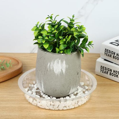 6 Pcs Plant Saucer, 10 Inch Plastic Plant Trays Flower Pot Saucers, Clear Plant Saucer Drip Trays for Indoor & Outdoor Plants, Round