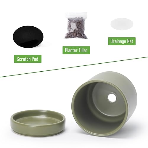 D'vine Dev 2-Pack Ceramic Pots with Saucers, Olive, 4.7 in, 94-V-B-J - color: Olive, size: 4.7 Inch