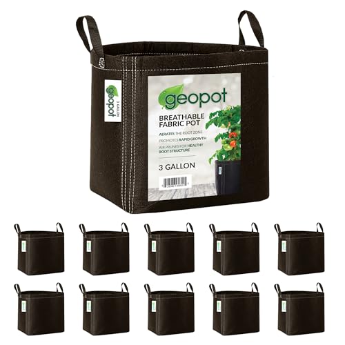 GeoPot 3 Gallon Fabric Grow Bags with Handles for Vegetables, Houseplants, Herbs & Flowers | 10-Pack | Fabric Pots for Outdoors and Indoors, Aerated Fabric Grow Bags - size: 3 Gallon (10-Pack), style: With Handles