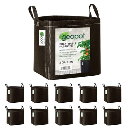 GeoPot 3 Gallon Fabric Grow Bags with Handles for Vegetables, Houseplants, Herbs & Flowers | 10-Pack | Fabric Pots for Outdoors and Indoors, Aerated Fabric Grow Bags - size: 3 Gallon (10-Pack), style: With Handles