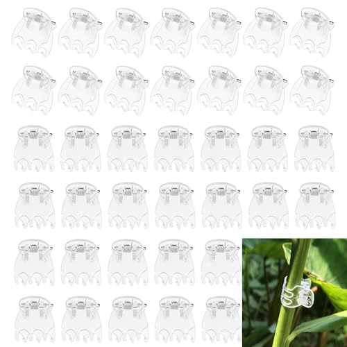 100 Pcs Orchid Clips Transparent Plant Clips Flower Vine Clip for Supporting Plant Orchid Support Clip Flower Stems Stalks Vines Climbing Plant Grow Upright