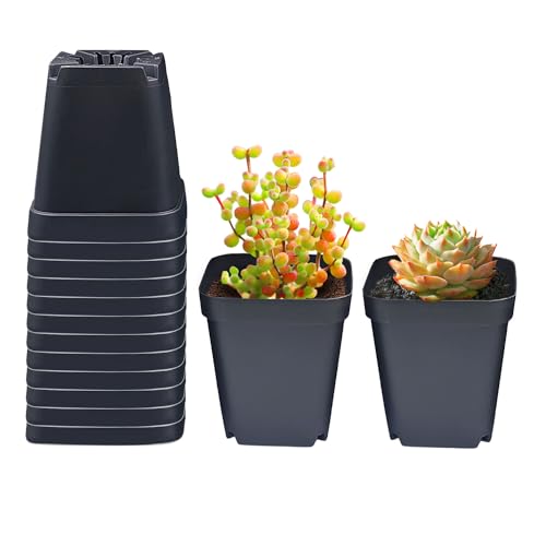 RooTrimmer Square Nursery Pots 3.54Inches 90 Pcs Seedling Flower Post Plastic Thick Seed Start Germination for Plant Propagation,Sturdy Suit for 1020 Trays(Black,3.54Inches,90Pcs) - color: Black, size: 3.5 Inch - 90pk
