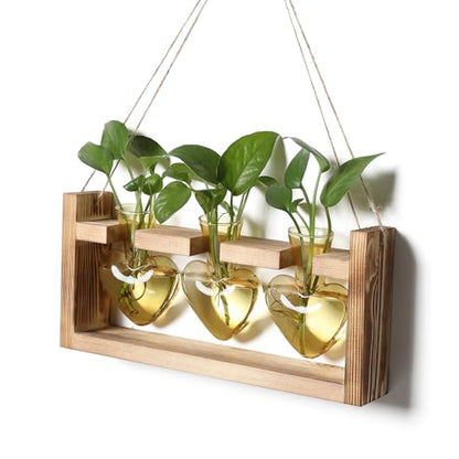 Plant Terrarium Propagation Stations Hydroponics - color: Gold