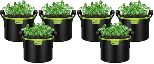 VIVOSUN 6-Pack 5-Gallon AeroBase Grow Bags, Durable Mesh Fabric Plant Container with Breathable Base and Sturdy Handles, Black - size: 5 Gallons (Pack of 2)