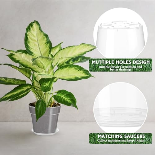 Baderke 3 Pack Clear Nursery Pot,11.65 Inches - size: 11.65 Inches