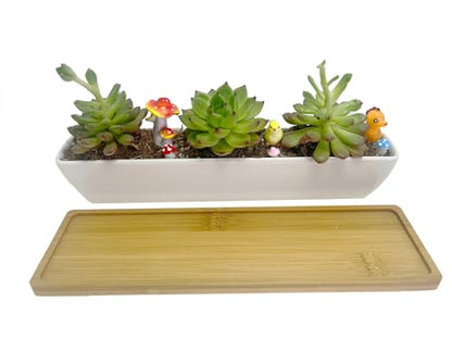11inch Long Rectangle White Ceramic Succulent Planter Pots,with Bamboo Saucers. Product Size:11x2.23x1.69inch.