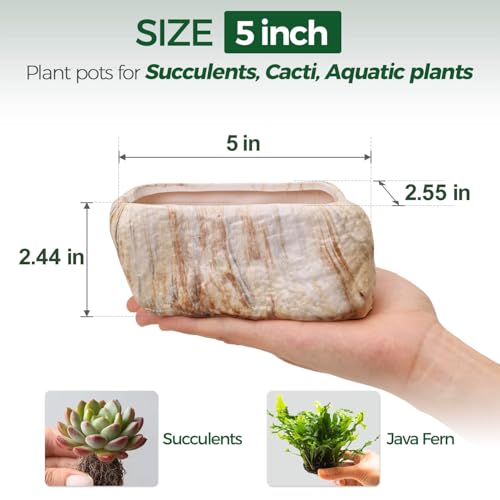 T4U 5.5 Inch Ceramic Succulent Pot Planter with Drainage Hole Set of 3, Stone Shape Rectangle Window Box Cactus Plant Containers Gift for Mom Sister Aunt Best for Home Office Table Desk Decoration