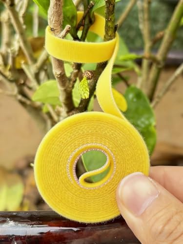 3Rolls Nylon Plant Ties Reusable Self Adhesive Plant Fastener Tape for Support Garden Supplies,200Ccm (Yellow) - color: Yellow