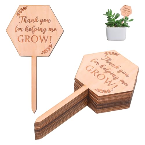 30PCS Thank You for Helping Me Grow Hexagon Wooden Plant Identification Stakes, Garden Succulents Tags Labels for Plants Gifts, Pot Label Picks for Teacher's Day or Mother's Day Appreciation Thanks