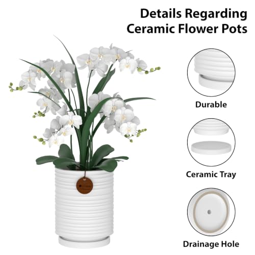 5.9 Inch White Ceramic Planter with Drainage and Saucer - color: White, size: Medium