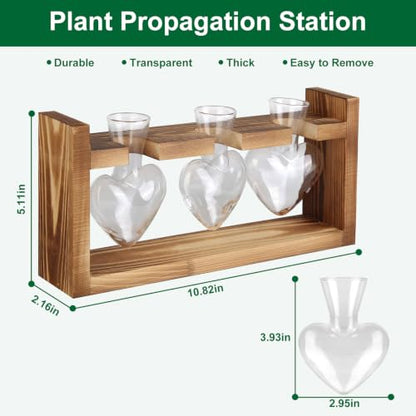 Plant Terrarium Propagation Station Air Planter Bulb Glass Vase with Wooden Stand 3 Heart Shaped Glass Vases