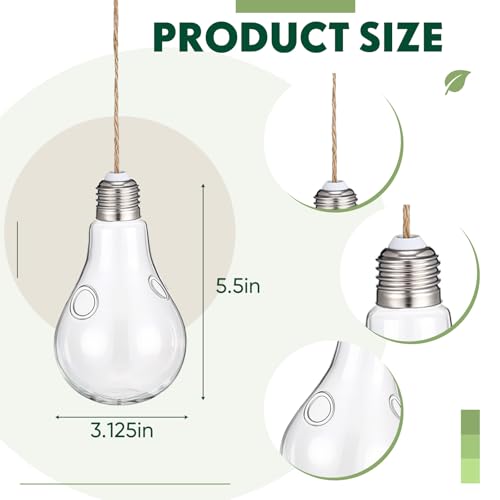 6pcs Hanging Propagation Stations, Glass Bulb Vases with Rope for Indoor