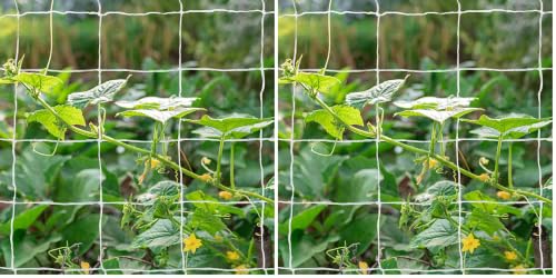 Tcamp Heavy-Duty Polyester Garden Trellis Netting Plant Climbing Net for Growing Vines Plants Vegetables Fruits Flowers, White Grow Tent (5Ft x15Ft, 3.5" Opening Mesh, 2 Pack) - size: 3.5" Mesh (5*15Ft) (Pack of 2)
