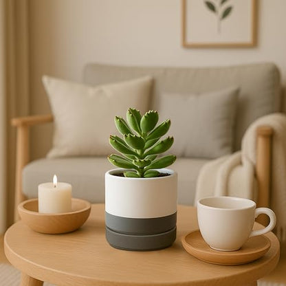 D'vine Dev 2-Pack Ceramic Pots with Saucers, White/Grey, 4.7 in, 94-V-B-6 - color: White/Speckled Grey, size: 4.7 Inch